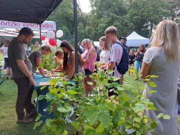 Relacja – Piknik z Województwem Łódzkim w Koluszkach , 